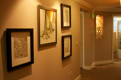 Oral Surgeon Office Tour Photo